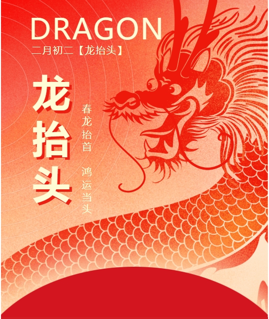 二月二龍?zhí)ь^，春龍振翅鴻運啟 —— 佳木斯網(wǎng)云信息科技有限公司與您共迎新春盛景