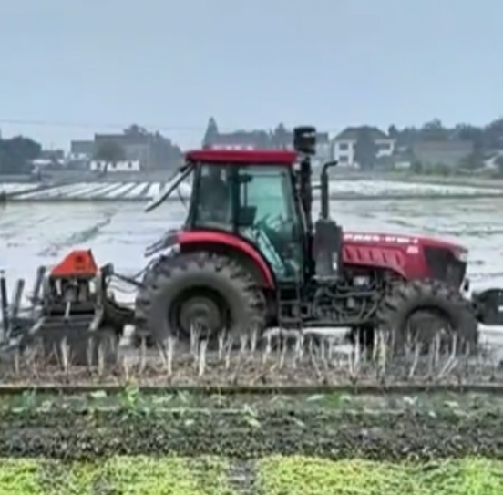 您負(fù)責(zé)統(tǒng)籌全局，它負(fù)責(zé)腳踏實(shí)地